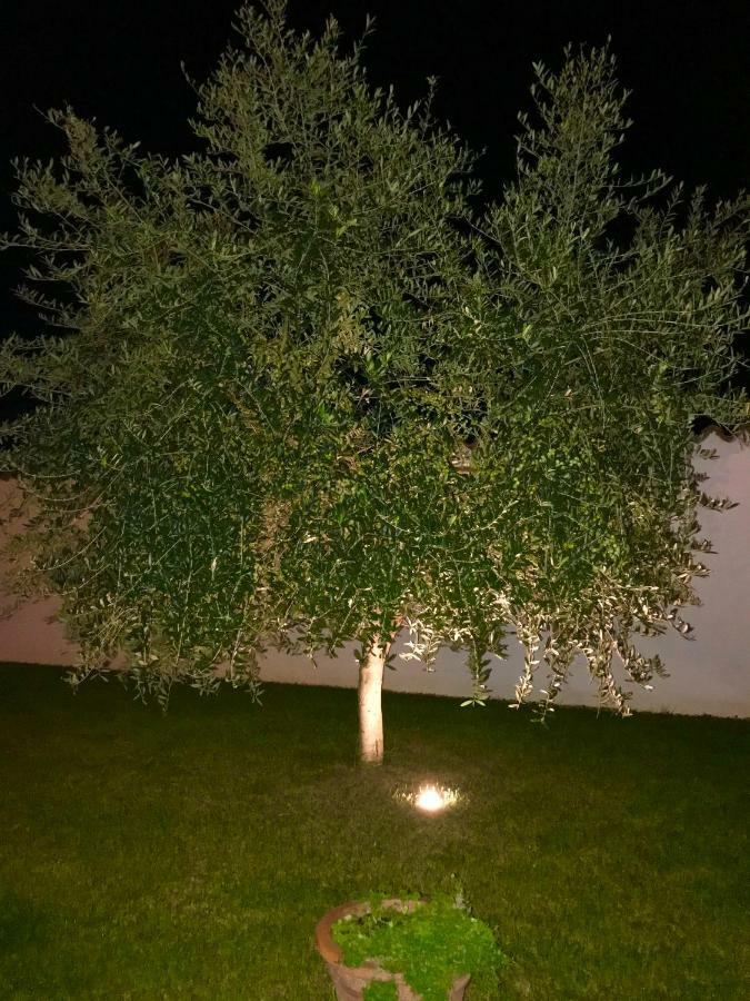 Puntizela-Patty Apartman Póla Kültér fotó